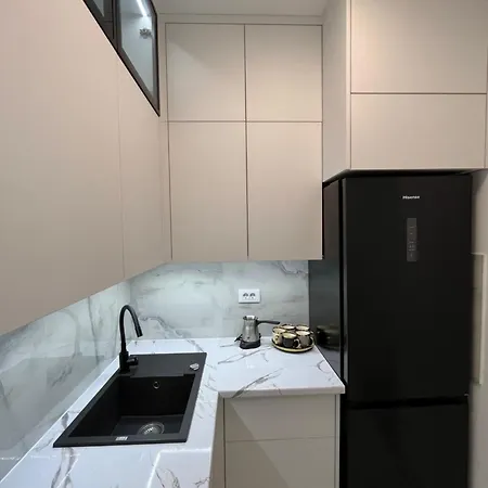 公寓 Gold Panorama 27 巴尼西卢卡